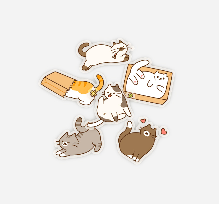 Åõ¸í Ä®¼± ½ºÆ¼Ä¿(ÀÚÀ¯Çü)