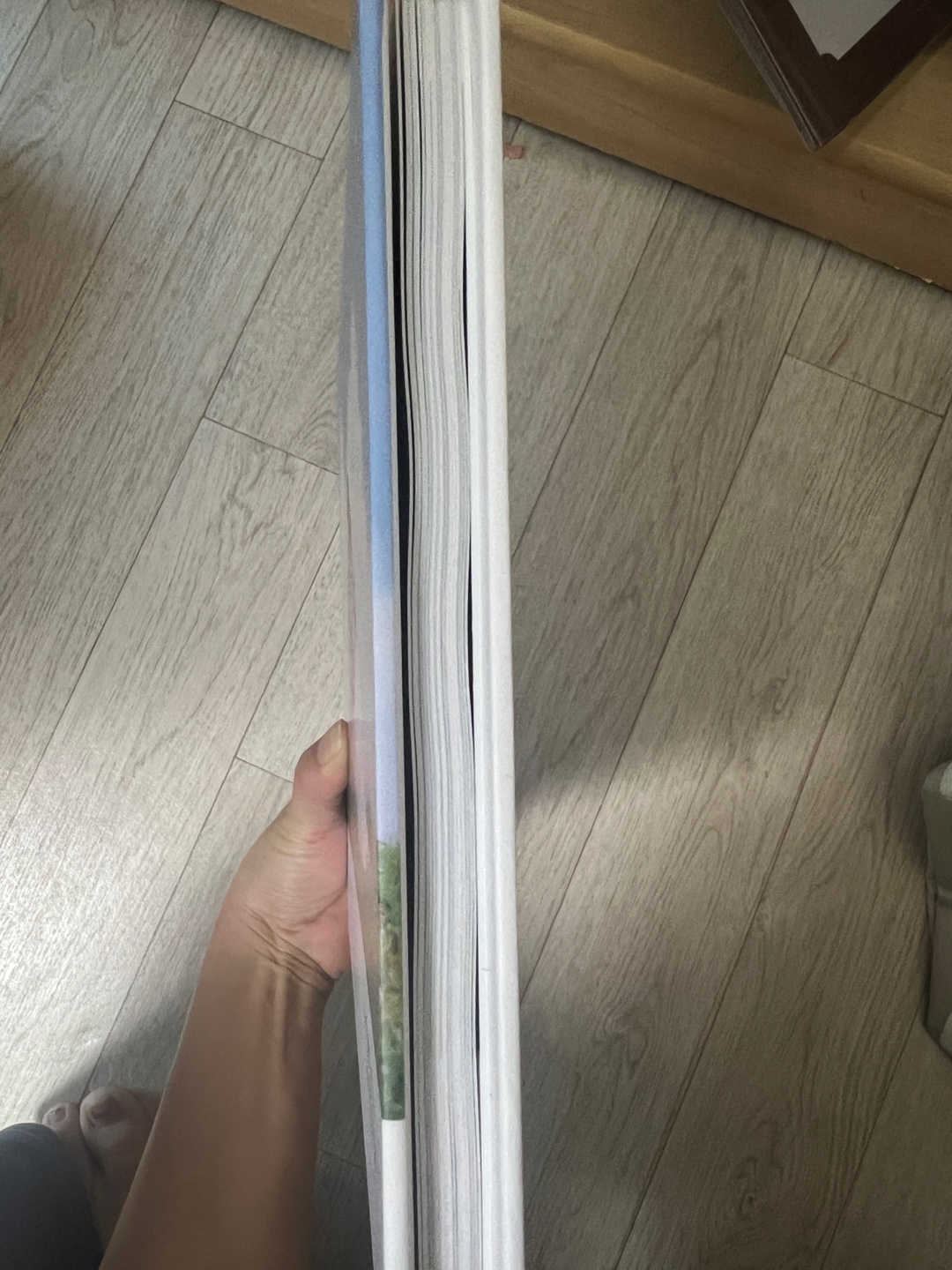 이미지