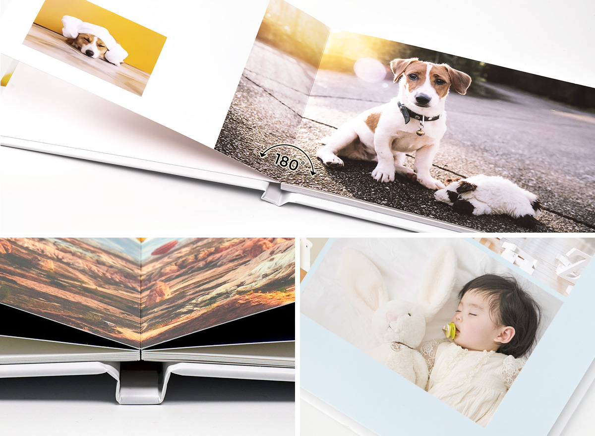 �����÷� ����