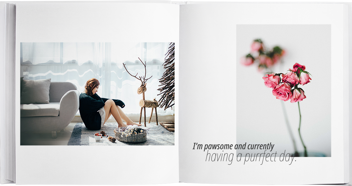 �׸�����