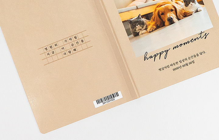 �����÷� Ŀ�� 2