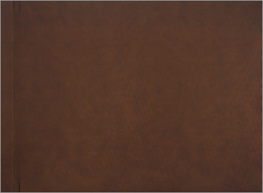 ��ũ����